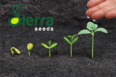 Sierra Seeds