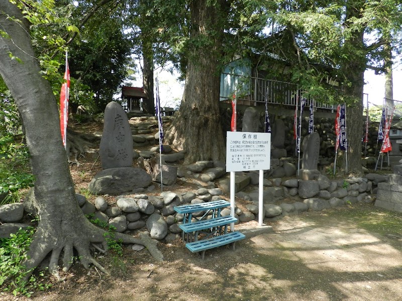 三ツ堀加茂神社のサカキ