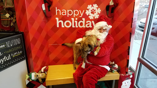 Pet Supply Store «Petco Animal Supplies», reviews and photos, 3705 E Colfax Ave #102, Denver, CO 80206, USA