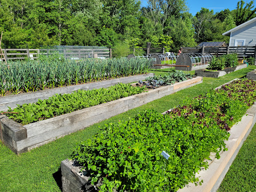 Nature Preserve «Grace Farms», reviews and photos, 365 Lukes Wood Rd, New Canaan, CT 06840, USA