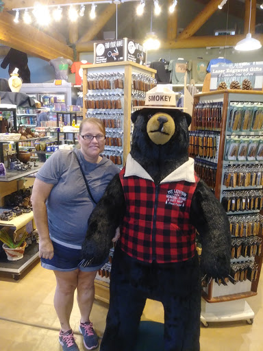 Gift Shop «Mt Lemmon General Store & Gift», reviews and photos, 12856 N Sabino Canyon Park, Mt Lemmon, AZ 85619, USA