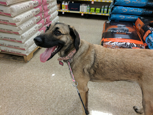 Pet Supply Store «PetSmart», reviews and photos, 1819 NE Pine Island Rd, Cape Coral, FL 33909, USA