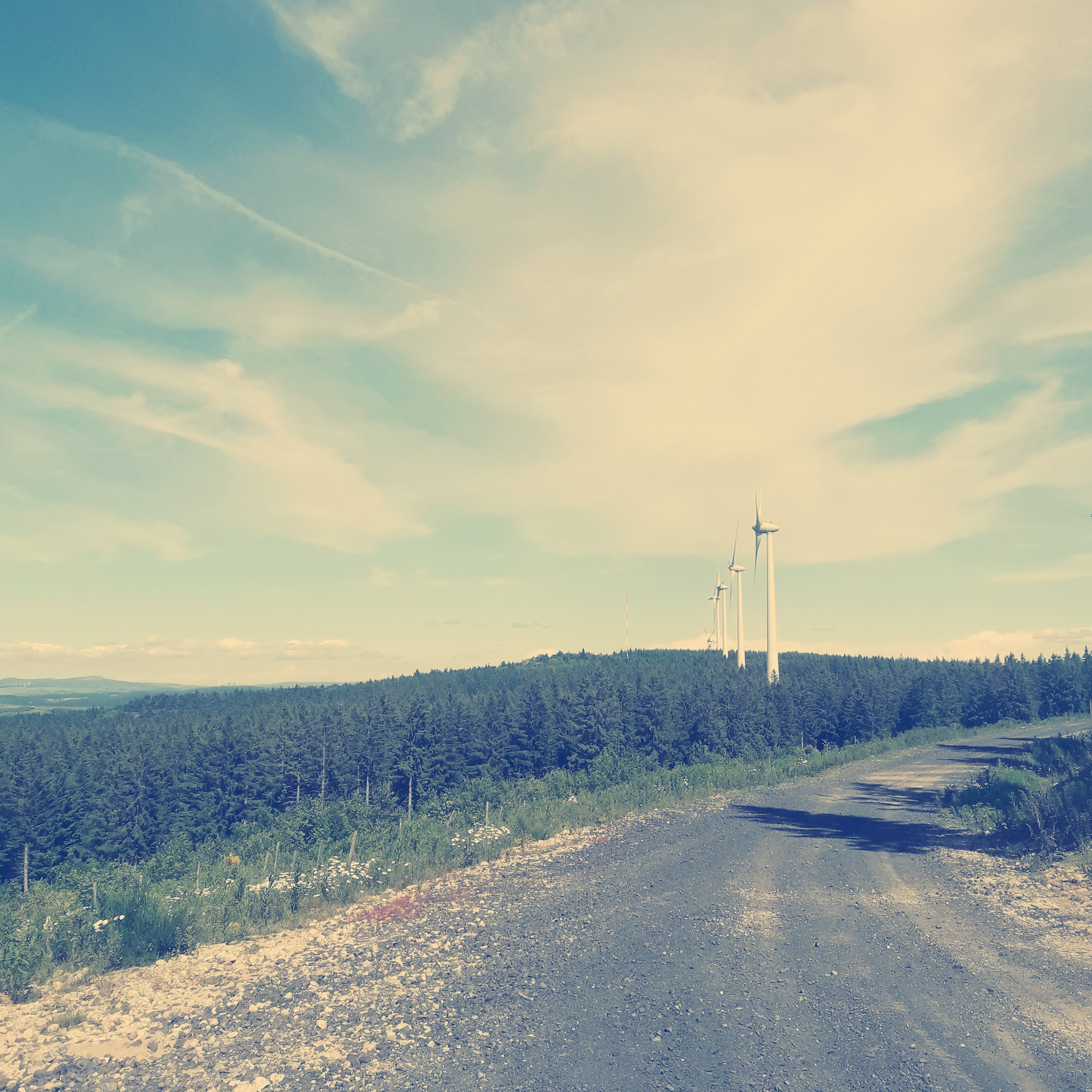 Photo n° 25 de l'avis de Stefe. fait le 27/06/2018 à 14:23