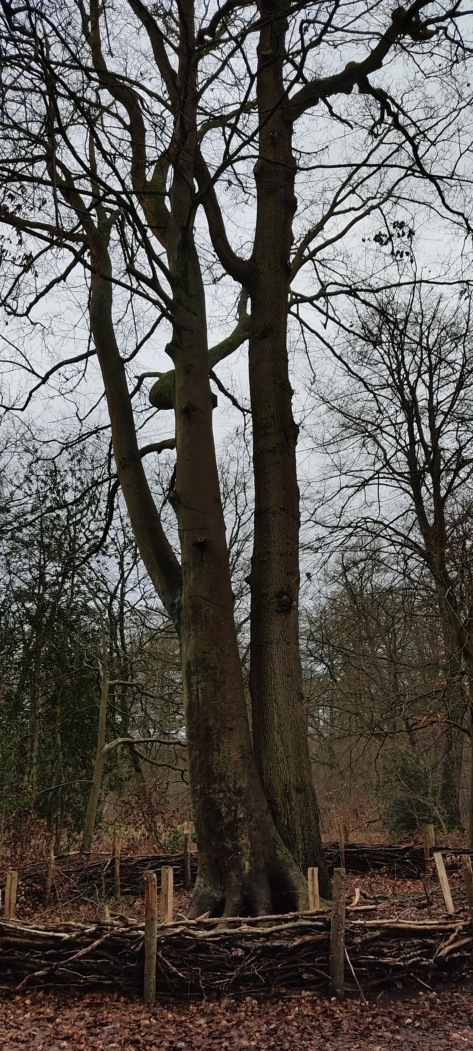 Photo n° 9 de l'avis de Marie.r fait le 02/02/2022 à 15:06