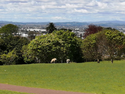 Cornwall Park Wooden/coal BBQ Area