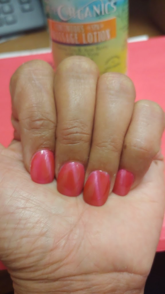 Princess Salon 19335
