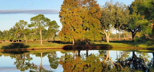 Golf Course «Cypresswood Golf and Country Club», reviews and photos, 1099 Clubhouse Rd, Winter Haven, FL 33884, USA