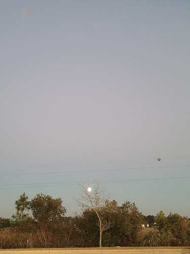 Grocery Store «Lowes Foods of Ocean Isle Beach», reviews and photos, 6278 Beach Dr SW #5, Ocean Isle Beach, NC 28469, USA