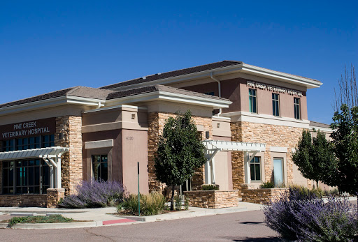 4120 Royal Pine Dr, Colorado Springs, CO 80920, USA