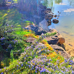 Photo n°9 de l'avis de Monica.r fait le 27/04/2022 à 10:41 sur le  L'Olandese Volante à Sant'angelo in Theodice, Cassino