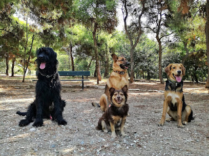 Εκπαίδευση Σκύλων HomeDogs.Training