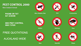Pest Control 2000