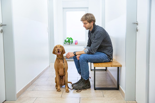 Tierarztpraxis Herbede (Veterinary Practice Herbede) unter Witten, 