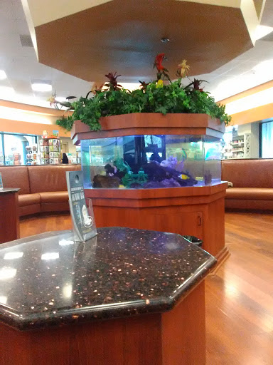 Car Wash «Jacksons Car Wash», reviews and photos, 2501 W Happy Valley Rd, Phoenix, AZ 85027, USA