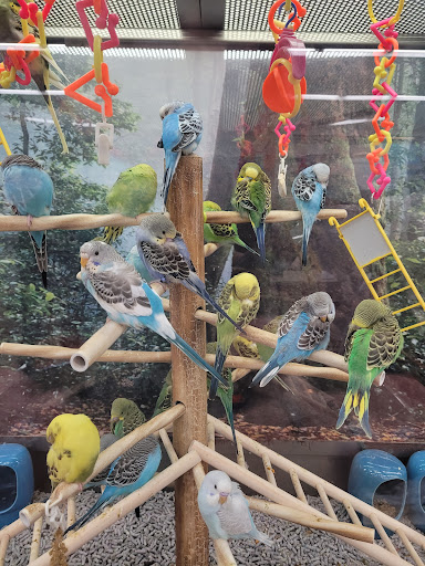 Pet Supply Store «Petco Animal Supplies», reviews and photos, 1215-1309 NJ-33 #1, Hamilton Township, NJ 08690, USA