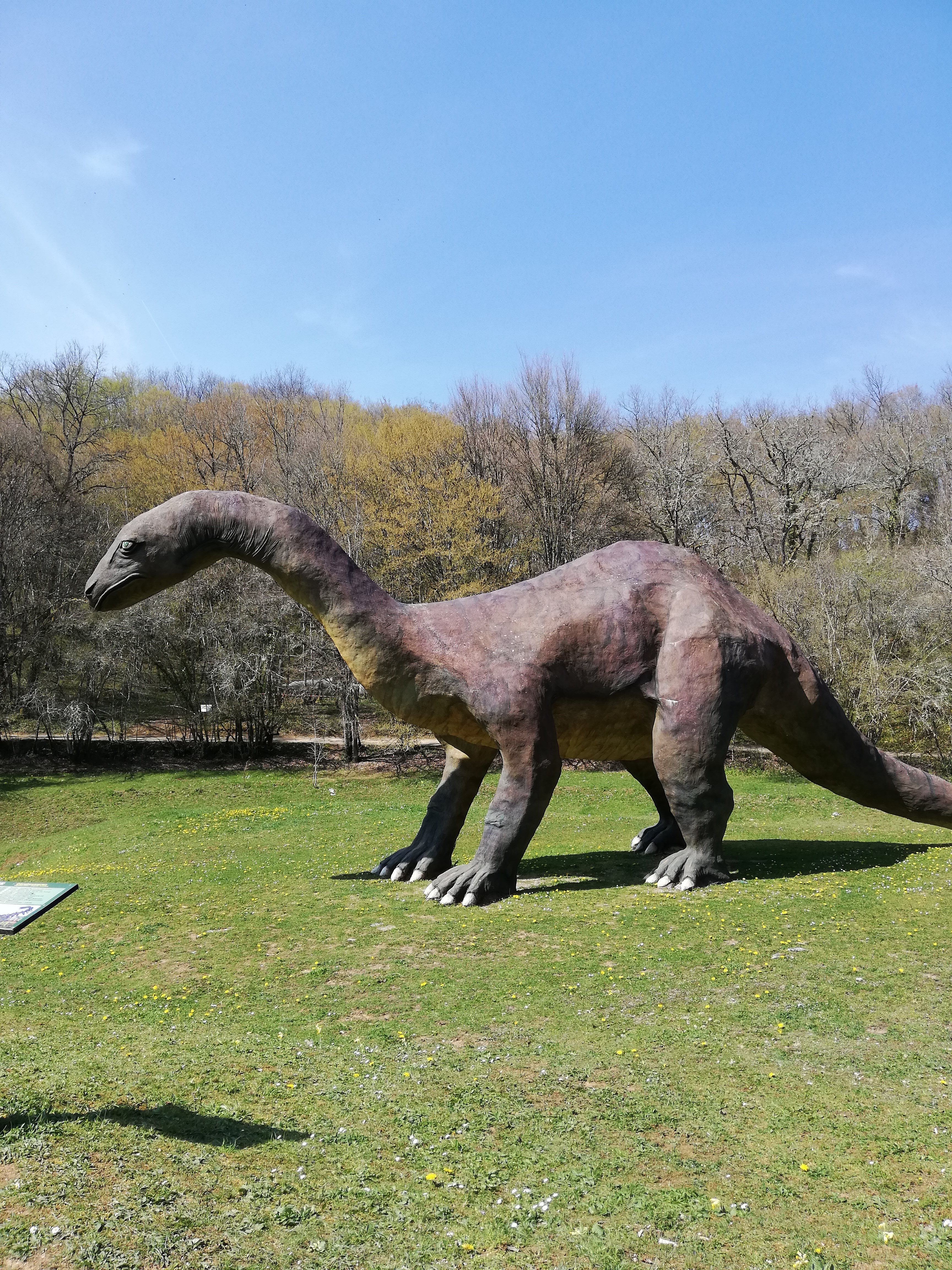 Photo n° 1 de l'avis de Scrat. fait le 16/04/2019 à 16:38