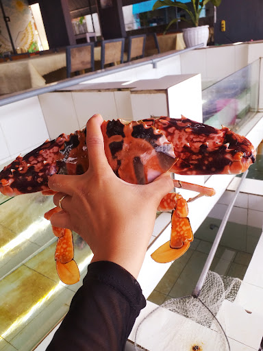 Top 20 cửa hàng akemi Huyện Lý Sơn Quảng Ngãi 2022