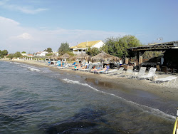 Paralia Alikes'in fotoğrafı biraz temiz temizlik seviyesi ile