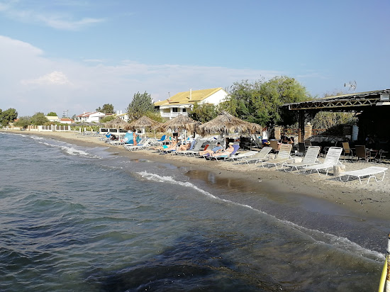 Paralia Alikes