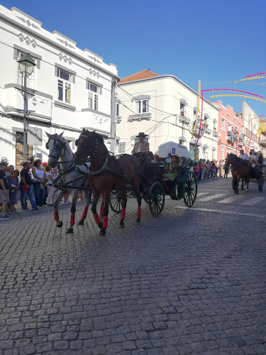 Comissão das Festas das Vindimas - Associação