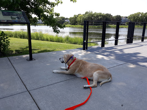 Park «Spring Lake Park», reviews and photos, 396 Springlake Ln, Aurora, IL 60504, USA