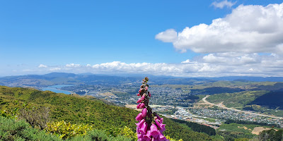 Porirua Scenic Reserve