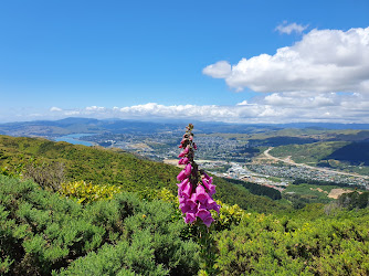 Porirua Scenic Reserve