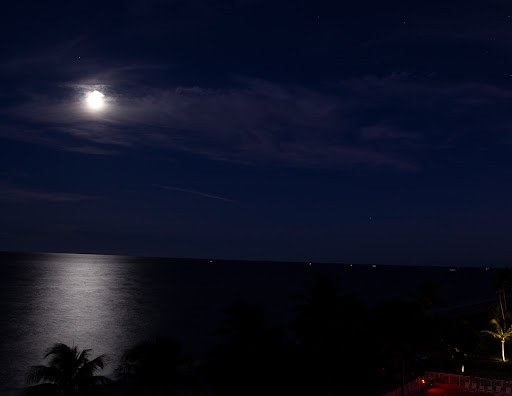 Print Shop «ColorCopiesUSA.com», reviews and photos, 140 NE 32nd Ct, Fort Lauderdale, FL 33334, USA