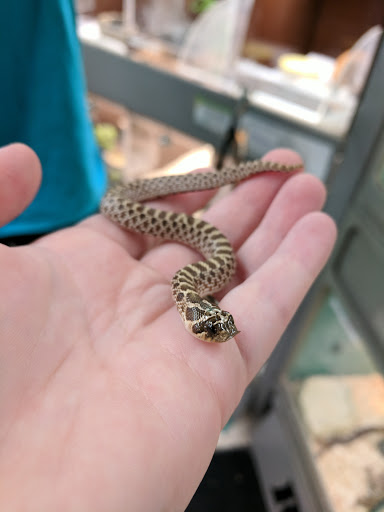 Pet Store «Sierra Fish and Pets», reviews and photos, 601 S Grady Way Suite M, Renton, WA 98057, USA