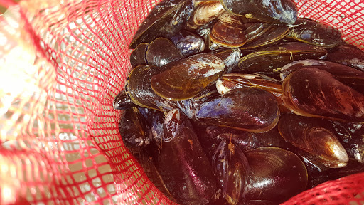 Grocery Store «Township of Washington Foodtown», reviews and photos, 315 Pascack Rd, Township of Washington, NJ 07676, USA