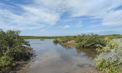 Terra Ceia Preserve State Park