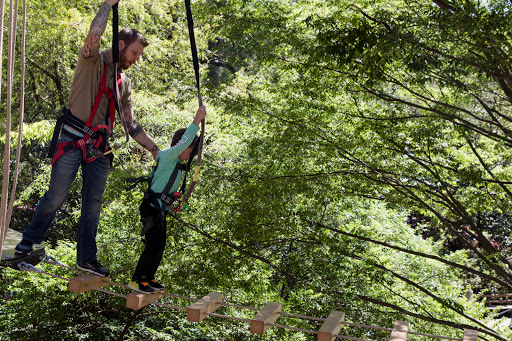 Zoo «Zoo Atlanta», reviews and photos, 800 Cherokee Ave SE, Atlanta, GA 30315, USA