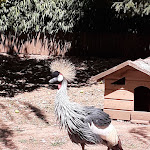 Photo n° 2 de l'avis de Véronique.s fait le 31/08/2020 à 15:25 pour Parc animalier et parc d'attractions, Le Jardin des Bêtes à Montrozier