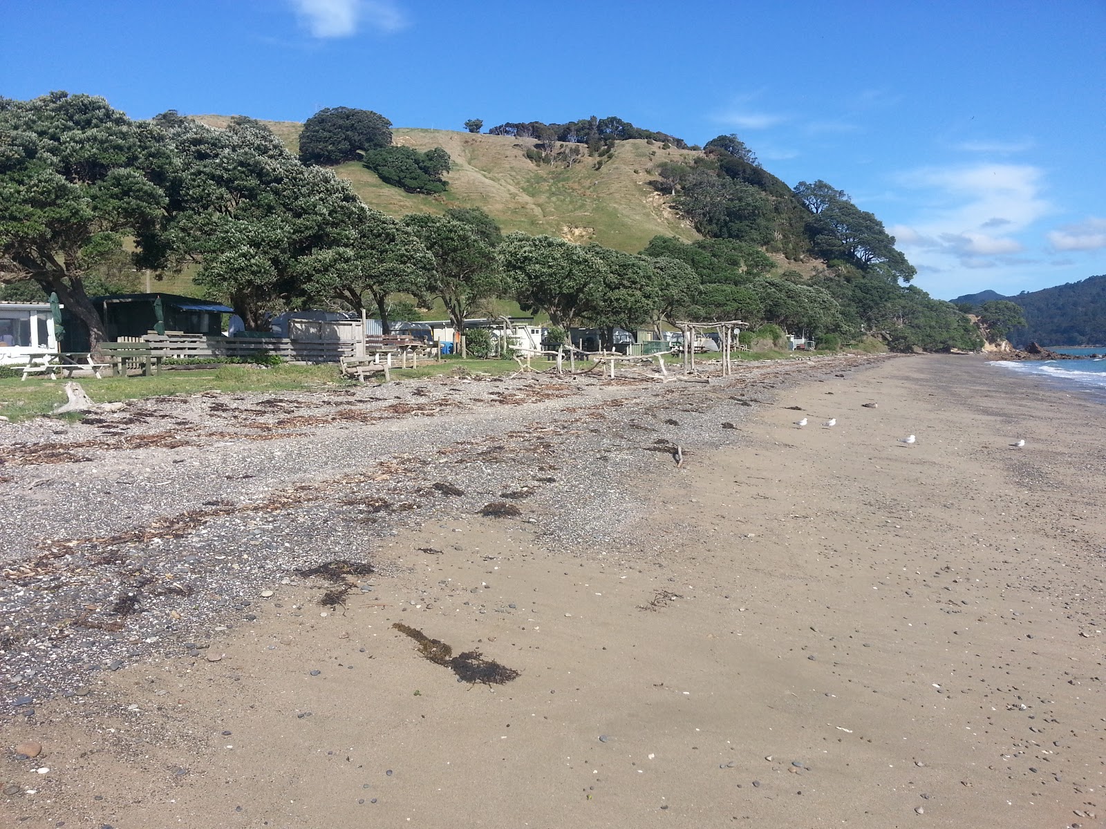 Photo of Otautu Bay with long straight shore