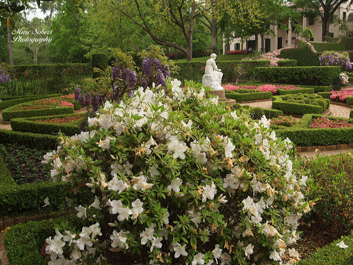Art Museum «Bayou Bend Collection and Gardens», reviews and photos, 6003 Memorial Dr, Houston, TX 77265, USA
