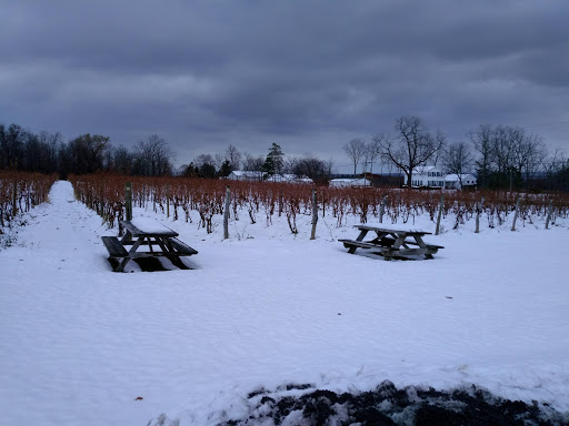 Winery «Hosmer Winery», reviews and photos, 7020 NY-89, Ovid, NY 14521, USA