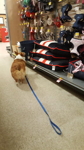 Pet Supply Store «PetSmart», reviews and photos, 2818 S Louise Ave, Sioux Falls, SD 57106, USA