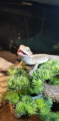 Pet Supply Store «PetSmart», reviews and photos, 2641 Lawndale Dr, Greensboro, NC 27408, USA