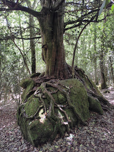 Monte Hijedo 39232, Cantabria, España