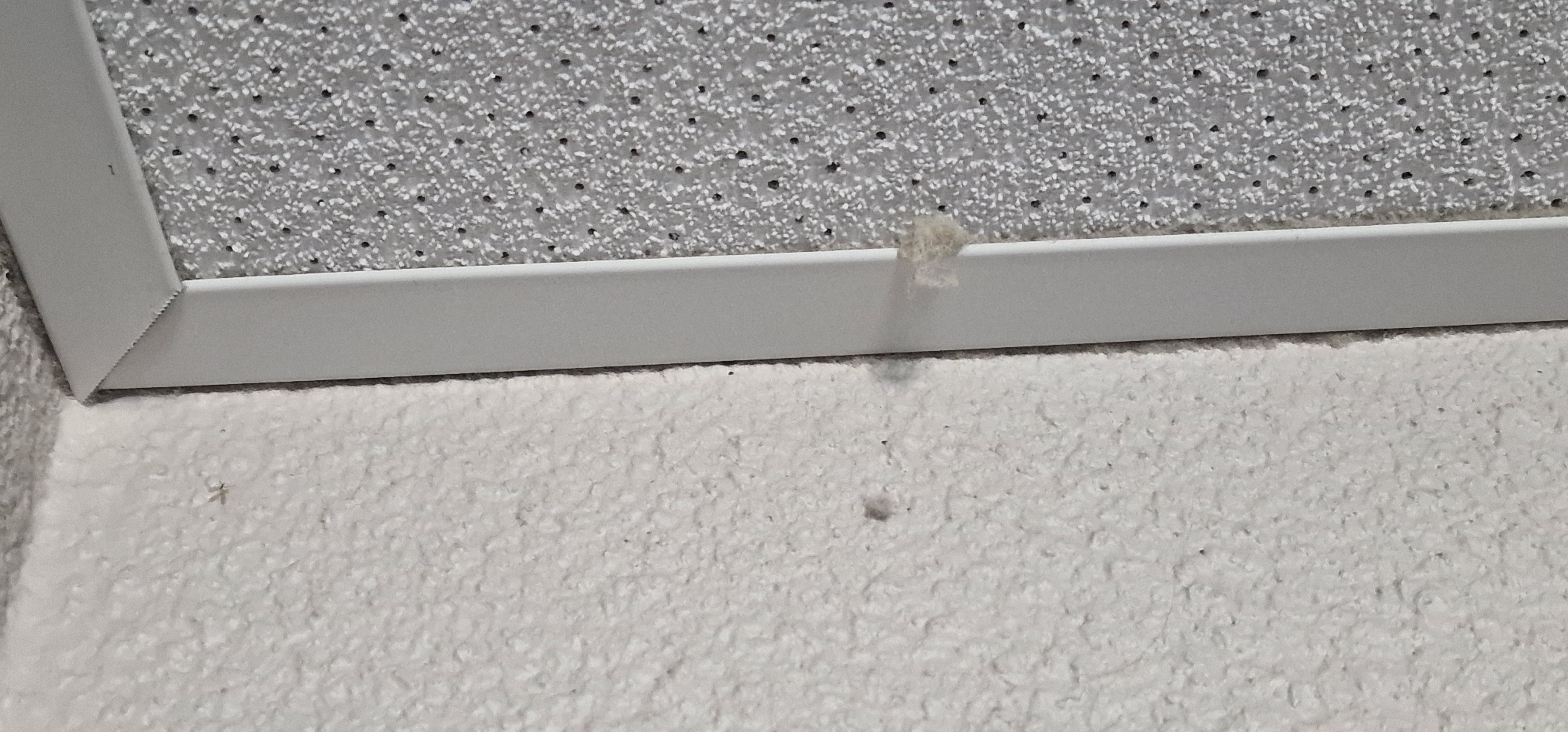 Photo n° 41 de l'avis de Dominique.A fait le 30/07/2023 à 17:07