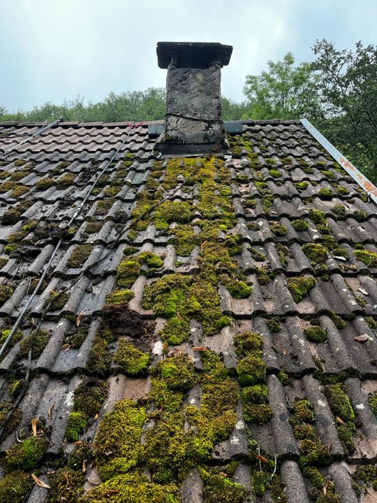 Photo n° 1 de l'avis de matthieu.o fait le 27/10/2023 à 18:14