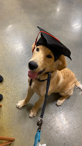 Pet Supply Store «PetSmart», reviews and photos, 290 Town Center Pkwy, Slidell, LA 70458, USA