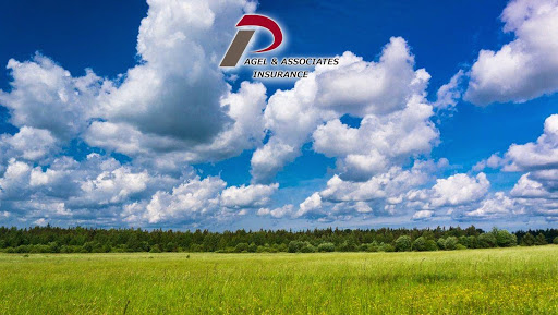 Insurance Agency «Pagel & Associates Insurance Agency», reviews and photos