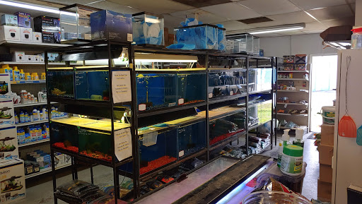 Pet Store «Perky Pets», reviews and photos, 4515 Palm Beach Blvd d, Fort Myers, FL 33905, USA