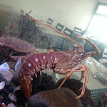 Photo n°7 de l'avis de VVS.R fait le 22/07/2017 à 15:18 sur le  Restaurant Mariserra à Ponta Delgada