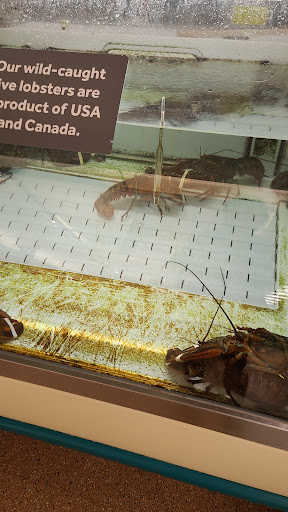 Grocery Store «Stop & Shop», reviews and photos, 60 Providence Pike, Putnam, CT 06260, USA