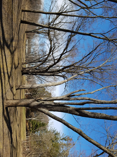 Park «Cambridge City Park», reviews and photos