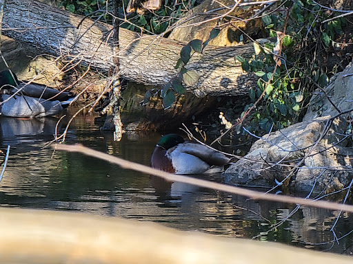 Nature Preserve «Fountain Rock Park & Nature Center», reviews and photos, 8511 Nature Center Place, Walkersville, MD 21793, USA