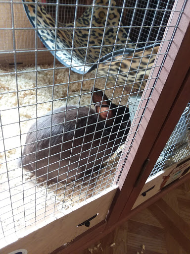 Pet Supply Store «A S Labieniec», reviews and photos, 945 Farmington Ave, Berlin, CT 06037, USA