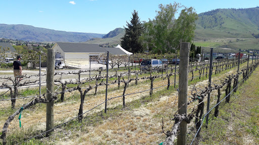 Winery «Vin Du Lac Winery», reviews and photos, 105 WA-150, Chelan, WA 98816, USA